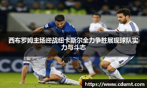 星空·综合体育中国官网
